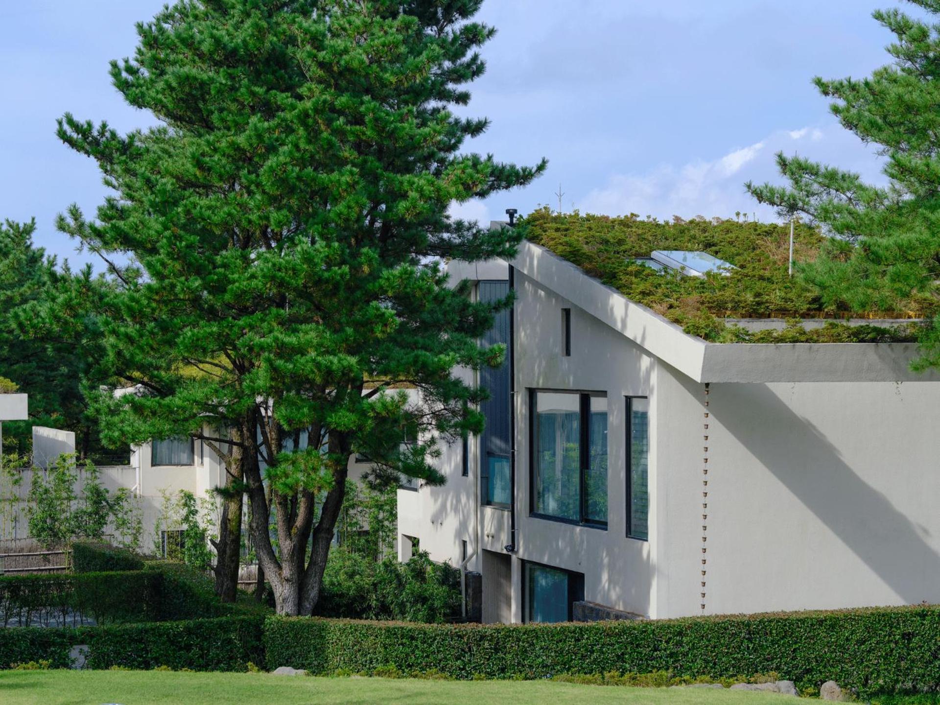 Amber Pure Hill Hotels & Resorts Jeju Exterior photo