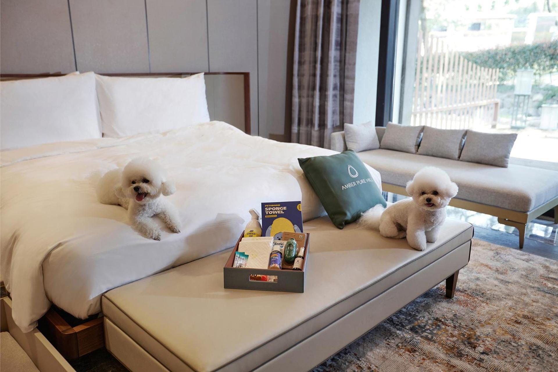 Amber Pure Hill Hotels & Resorts Jeju Exterior photo