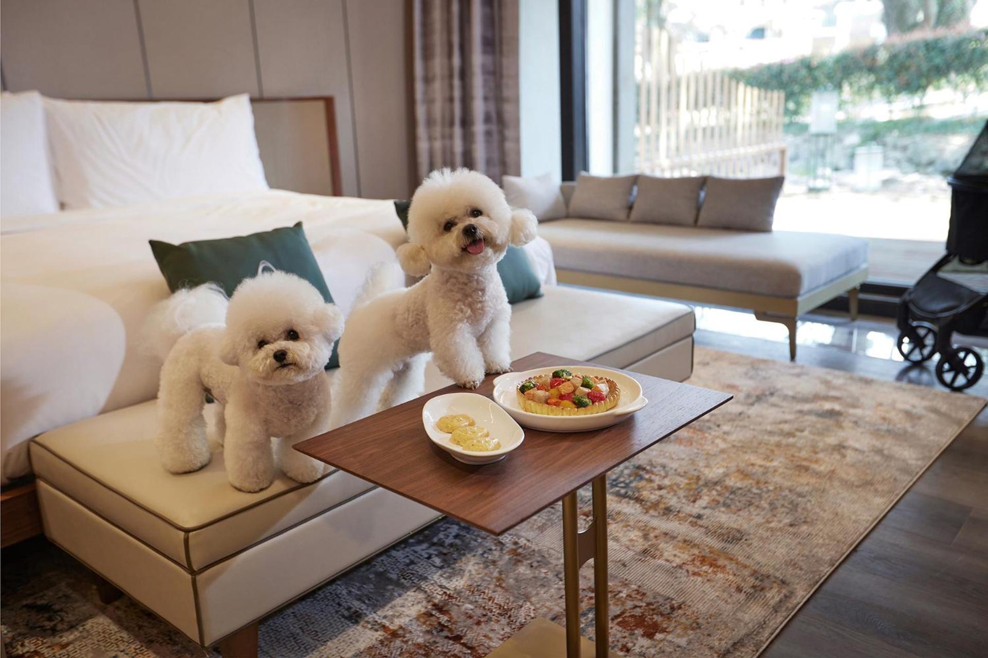 Amber Pure Hill Hotels & Resorts Jeju Exterior photo