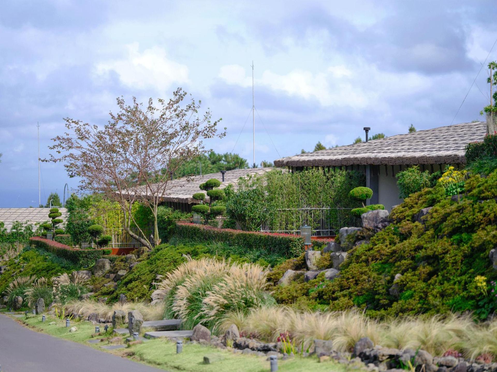 Amber Pure Hill Hotels & Resorts Jeju Exterior photo